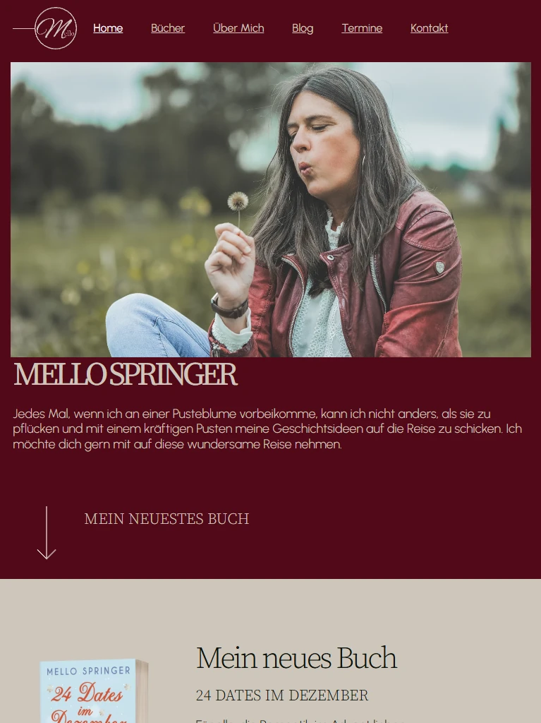 Tablet Ansicht Responsive Design Portfolio Website Webdesign Mello Springer